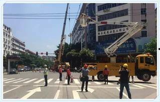 电线杆吃瓜,街头一幕引发的热议与思考