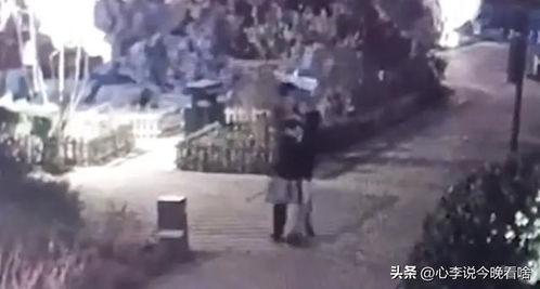 滑县吃瓜爆料视频,揭秘当地热点事件背后的真相