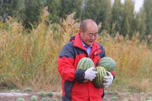 小佛爷魏县吃瓜,揭秘当地特色美食之旅