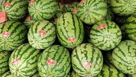 广州动物公园河马吃瓜,广州动物公园河马欢乐“瓜”果时光