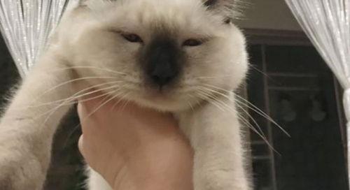 脸肿了可以吃瓜吗