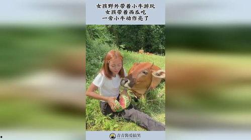 吃瓜旅游女孩,一场味蕾与心灵的盛宴