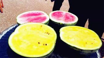 之前的吃瓜爆料