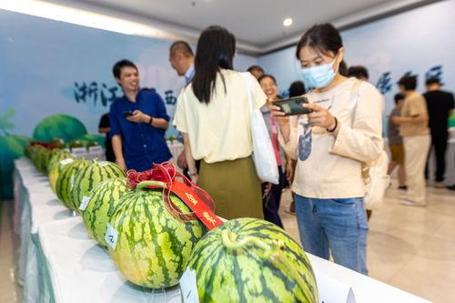 浙江最新吃瓜消息今天,揭秘网络热议背后的真相