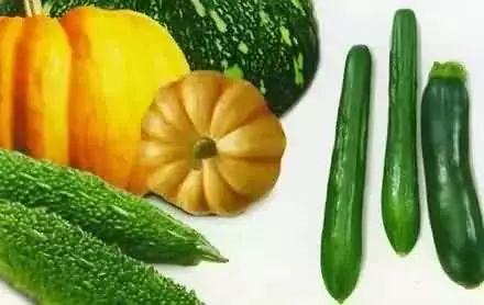 夏天就该吃瓜,尽享清凉“瓜”趣