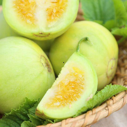 永年朱庄吃瓜,夏日吃瓜盛宴，感受乡村田园风情