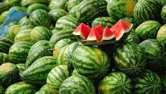 带你吃瓜讲食物,探寻民间美食的独特魅力