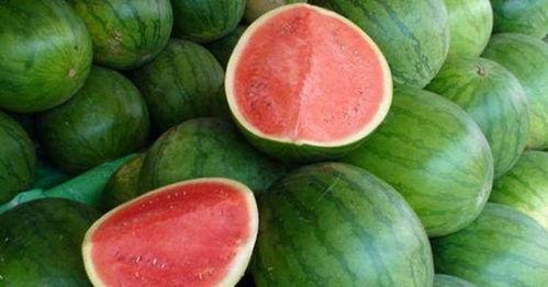 来事可以吃瓜么