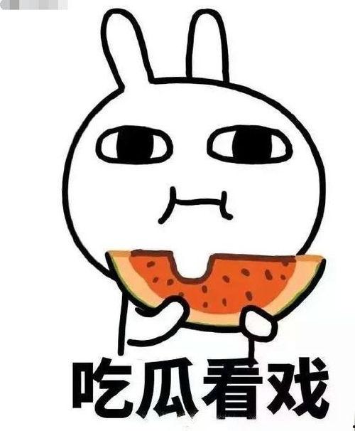 从吃瓜到炸裂,揭秘网络舆论的狂欢与狂潮