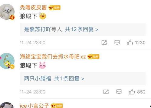 吃瓜网友神评论,揭秘娱乐圈幕后真相