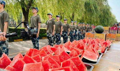 西安大学吃瓜事件,校园舆论风波背后的真相揭秘