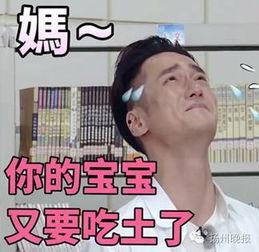 姑苏吃瓜群众,揭秘江南古城的市井生活