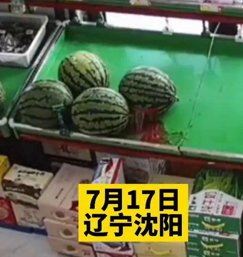 吃瓜交通,趣味解读城市交通百态