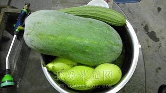 全国热门吃瓜事件