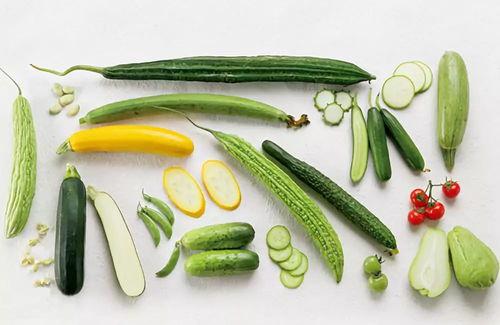 带你吃瓜蔬菜,带你领略瓜果蔬菜的缤纷世界