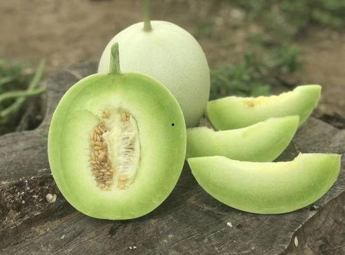 孕妇可以吃玉菇瓜吗,孕妇适宜食用玉菇瓜吗？