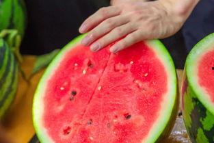 瓜哥吃瓜奇葩的名