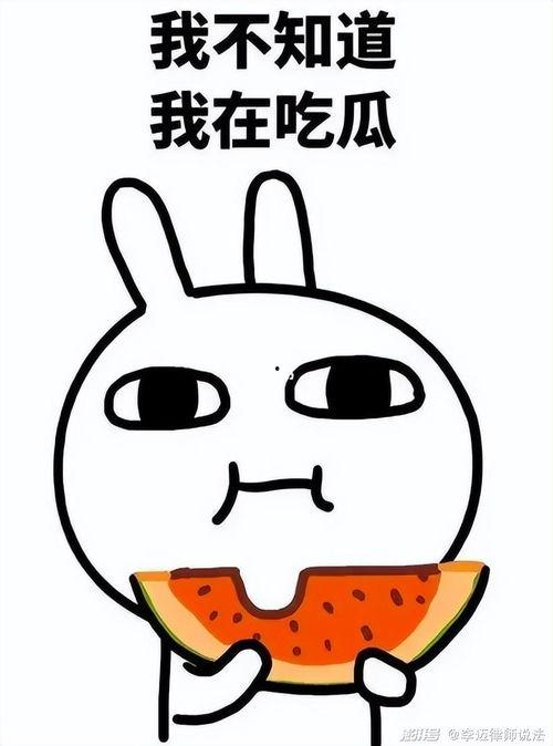 吃瓜q群8286722,一场网络热议背后的故事