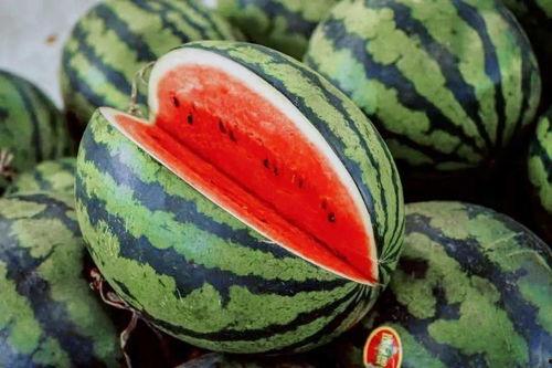 白水最新吃瓜视频,揭秘娱乐圈幕后真相